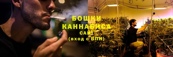СК Волоколамск