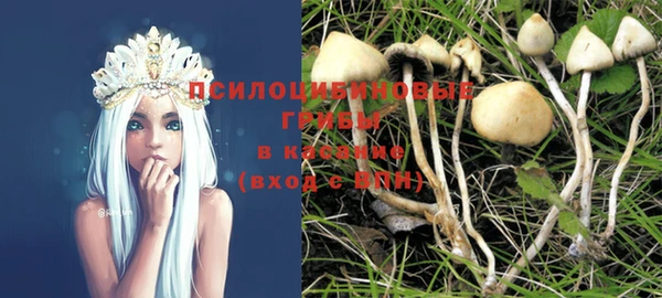 кристаллы Вяземский