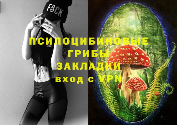 шишки Вязьма