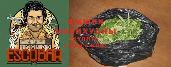 мдпв Верея