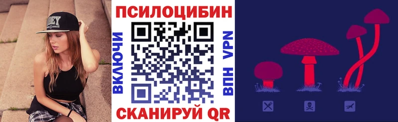 Галлюциногенные грибы Cubensis  Елизово 