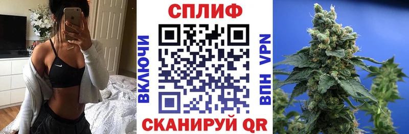 Бошки Шишки Amnesia Елизово